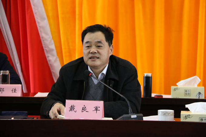 集團(tuán)黨委委員、副總經(jīng)理、總工程師戴良軍發(fā)表講話